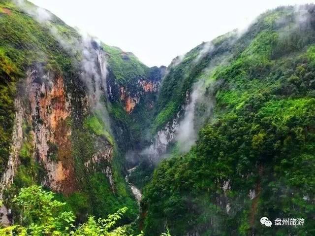 逃离神秘之林